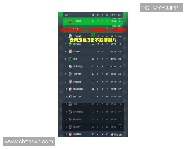 上海排球队在钻石联赛积分榜上以55分稳居第一名展现强劲实力