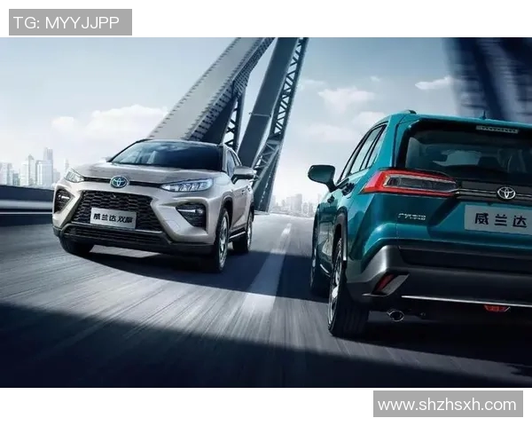 上海排球队在洲际杯积分榜上以61分稳居第一名展现强劲实力