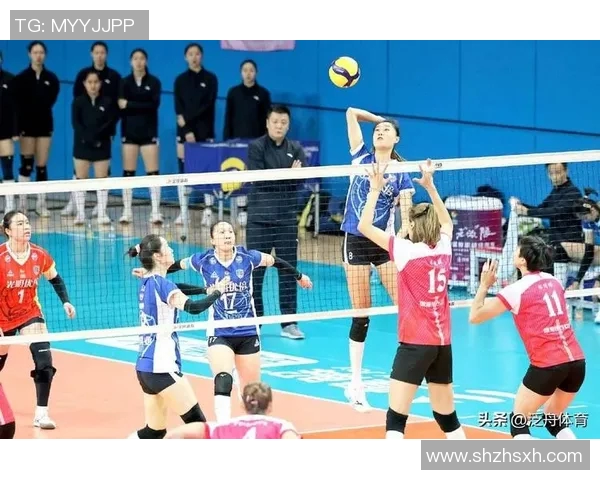 上海排球队比赛经验的创新与变革引发热议
