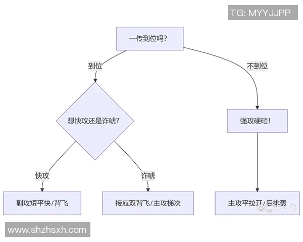 南京排球队战术解析与实战应用探讨提升竞技水平的关键因素