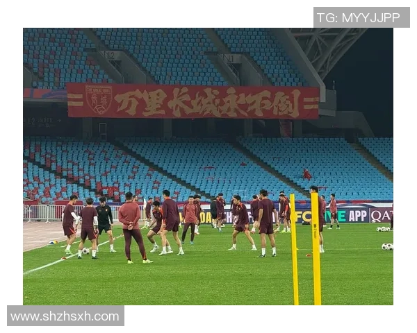 杭州足球队在世界杯预选赛中的灵活性表现分析与点评