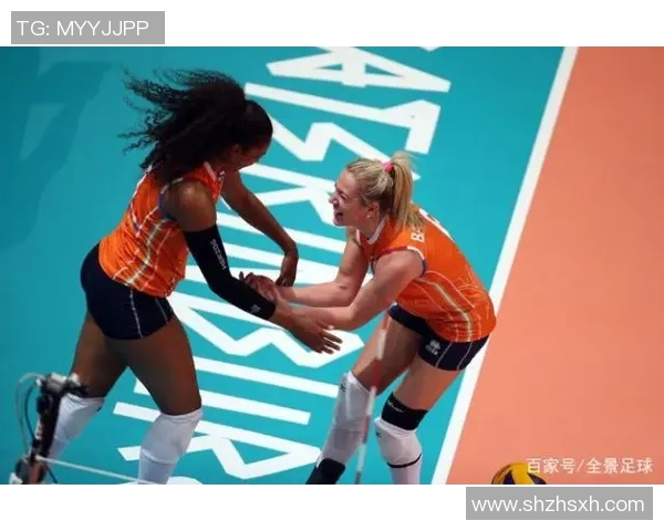 成都排球队实力对比深度解析各队优势与不足全景展现